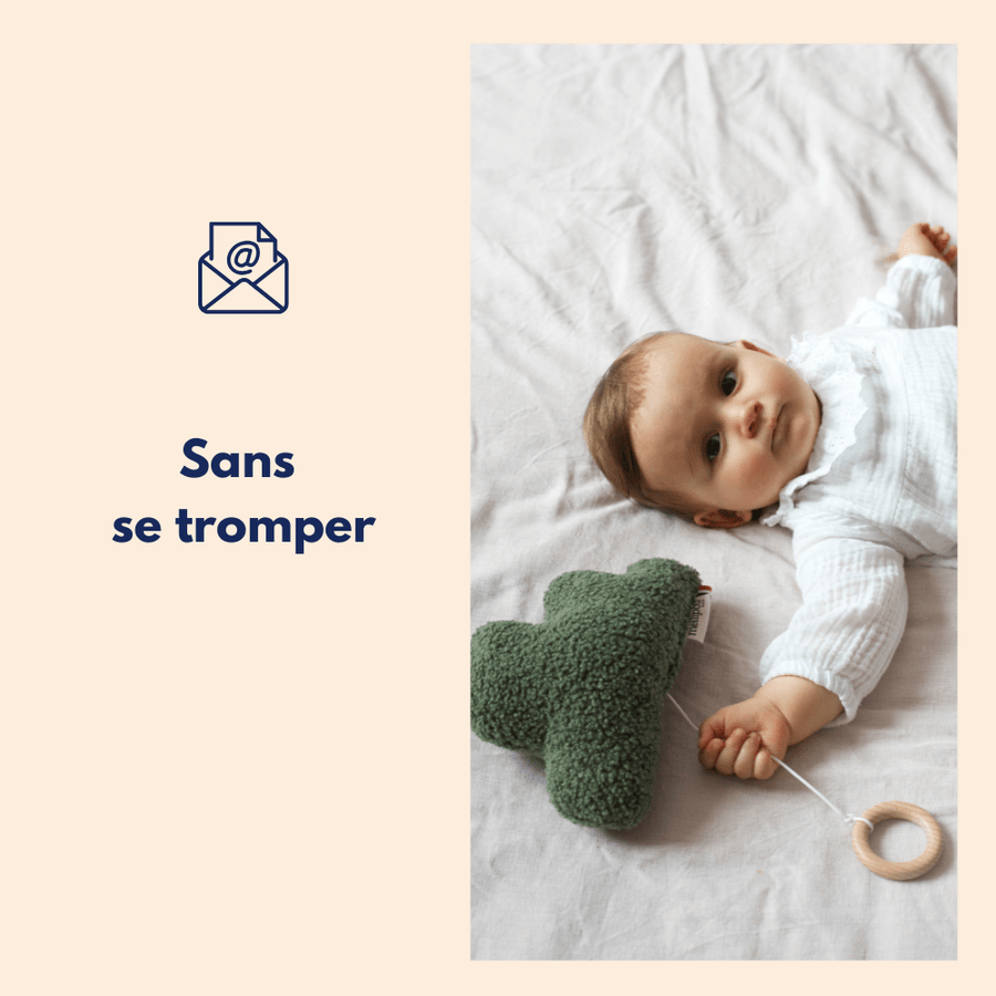 Carte cadeau bébé - jeunes parents : Minibam MELLIPOU