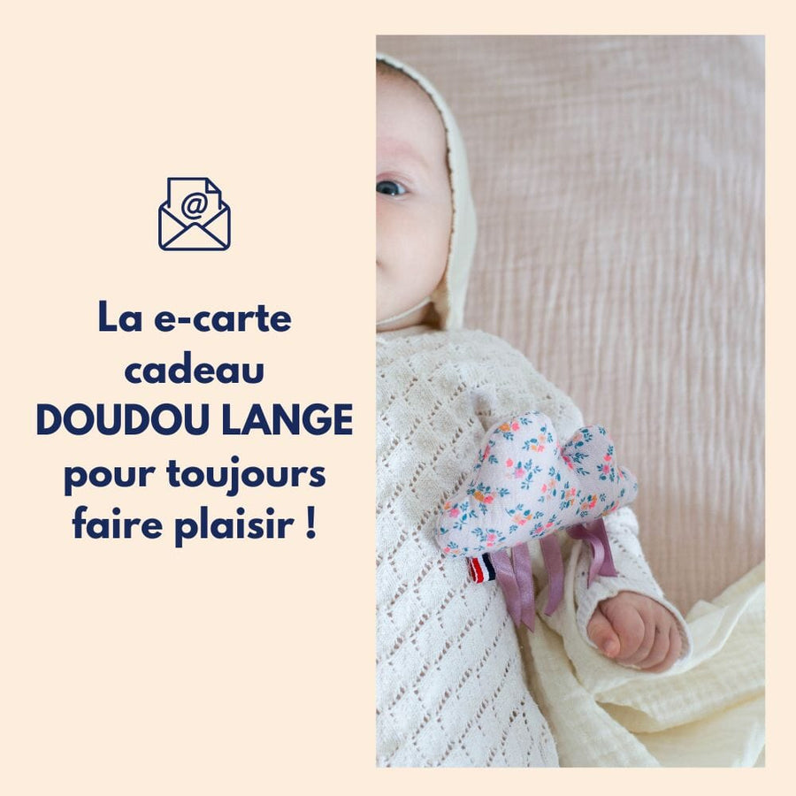 Carte cadeau pour bébé: Doudou lange personnalisable MELLIPOU