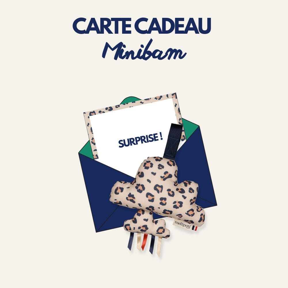 Carte cadeau pour bébé : Minibam Gift Cards MELLIPOU