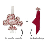 Coffret naissance musical Nina coffret naissance classique MELLIPOU
