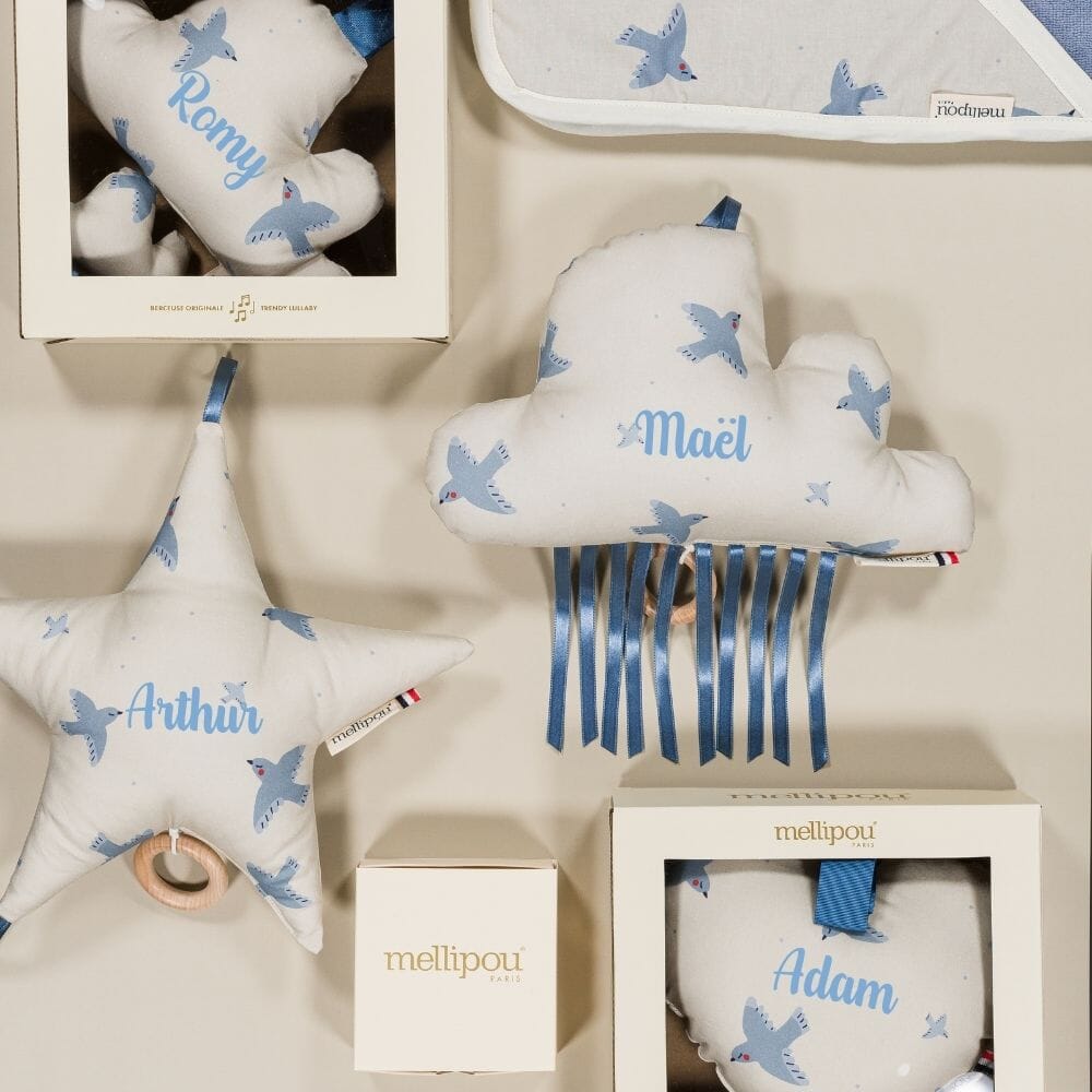 Coffret naissance mixte Patti coffret naissance classique MELLIPOU