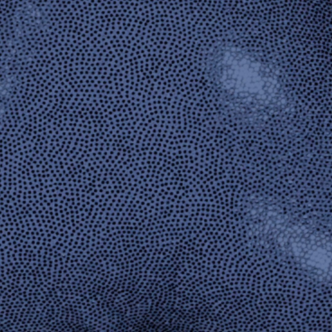 Coffret bébé Disco bleu - Roland Nuage musical MELLIPOU